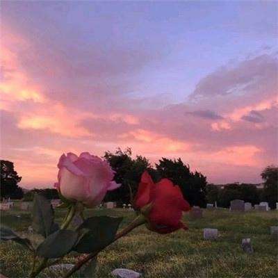 b体育官网入口在线