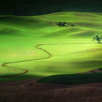 免费的行情网站app