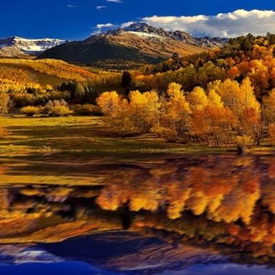 b体育官网入口在线