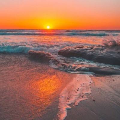 买球的app排行榜前十名推荐手机app下载