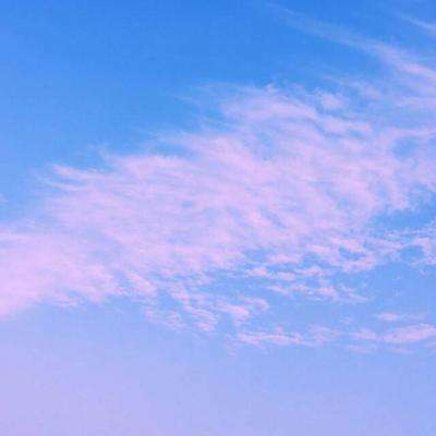 pc蛋蛋官方网站