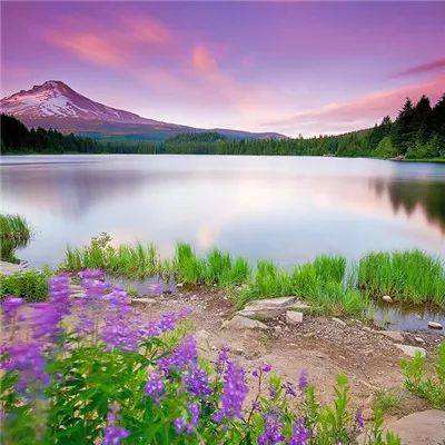 8188www威尼斯手机app下载